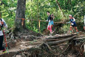 BIB: 
                            <button type="button" onclick="openModal(27557472)" class="btn btn-primary btn-sm float-right btn-popup" data-toggle="modal" data-target=".modal-high-quality">
                        <i class="fas fa-shopping-cart"></i> Add to Cart
                    </button>
                                            <button type="button" onclick="isThisMe(27557472, true)" class="btn btn-success btn-sm float-right btn-popup btn-isme hidden" data-toggle="tooltip" data-placement="bottom" title="นี่คือรูปของคุณใช่ไหม คลิกที่นี่เพื่อเอาเข้าอัลบั้ม">
                        <i class="fas fa-plus"></i> Add to album
                    </button>
                    <button type="button" onclick="isThisMe(27557472, false)" class="btn btn-warning btn-sm float-right btn-popup btn-isnotme hidden">
                        <i class="fas fa-ban"></i> Remove from album
                    </button>